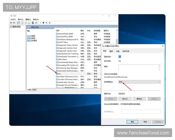 九博体育最新官方客户端下载安装指南及使用技巧详解
