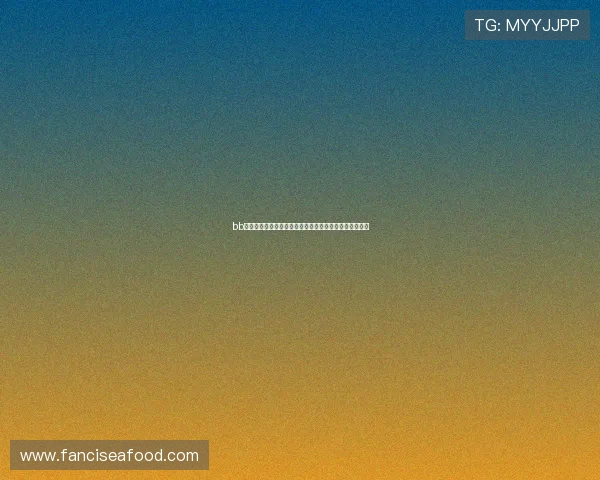 bb体育的技术支持与客户服务体系，确保用户体验流畅无忧