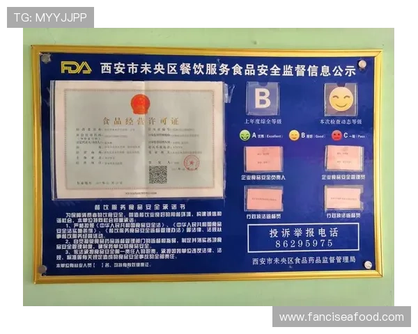 凯发平台如何保障玩家资金安全全面介绍安全措施与保障机制